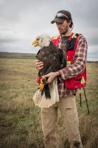 Myles holding an adult Bald Eagle