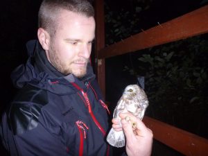 Florian holding a Saw-whet Owl at Rocky Point Bird Observatory in 2014