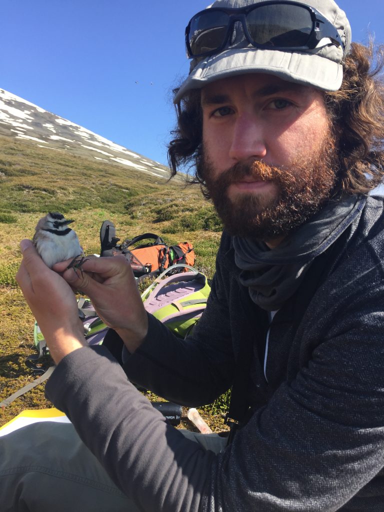 Devin holding a Horned Lark, the subject of his PhD research