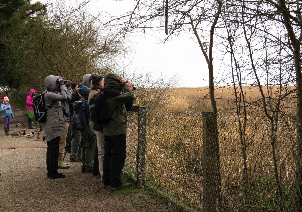 A group of WildResearch members birding at Reifel Bird Sanctuary