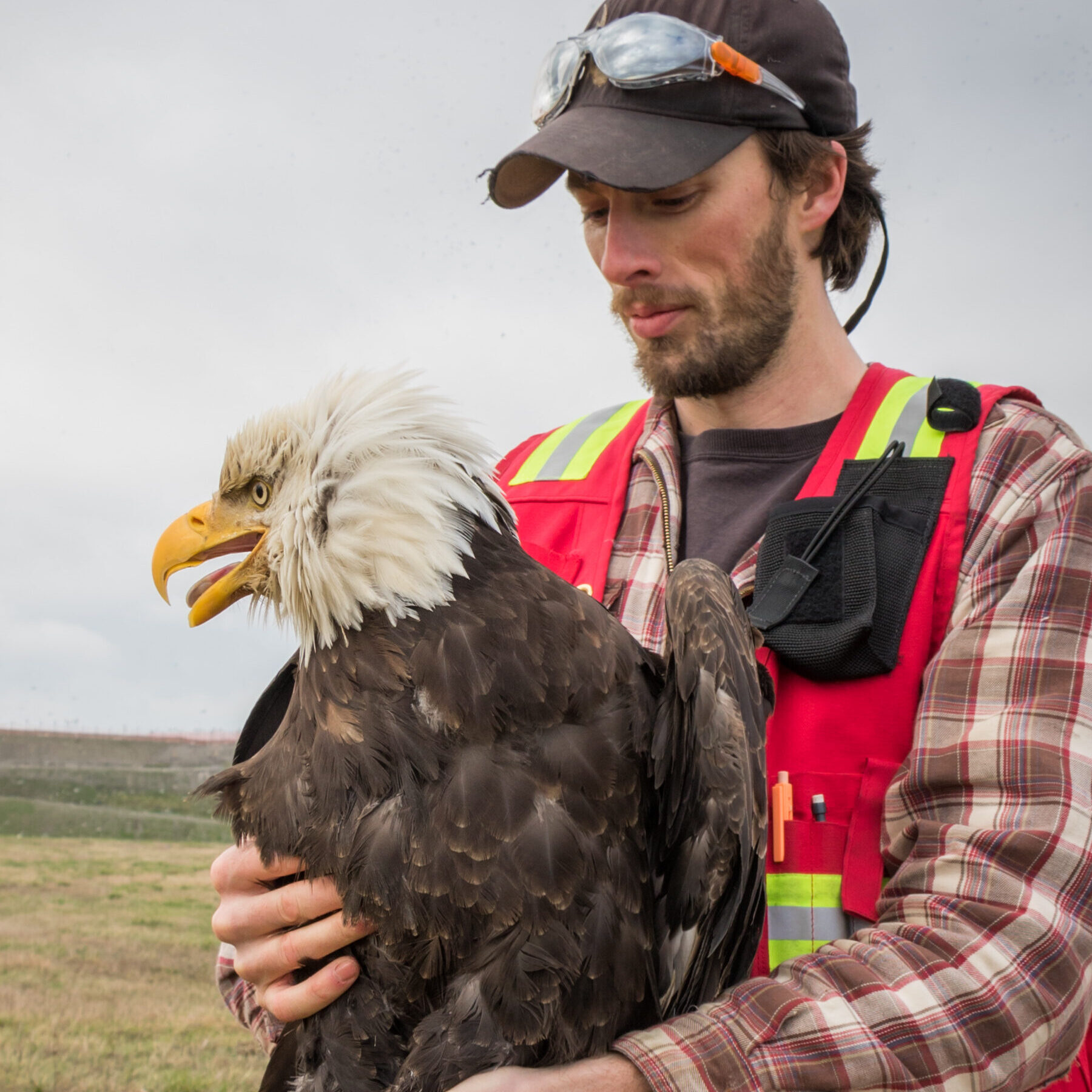 Myles holding an adult Bald Eagle